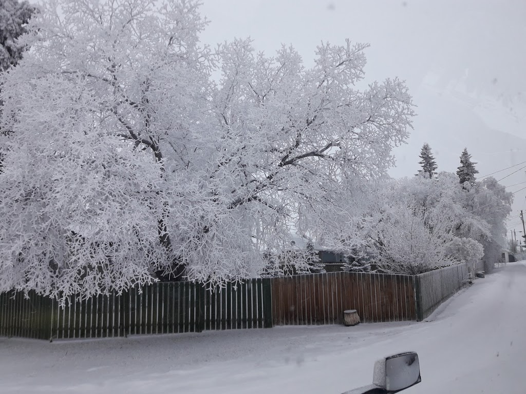 Linden Senior Lodge | 101 1 St NE, Linden, AB T0M 1J0, Canada | Phone: (403) 546-3136