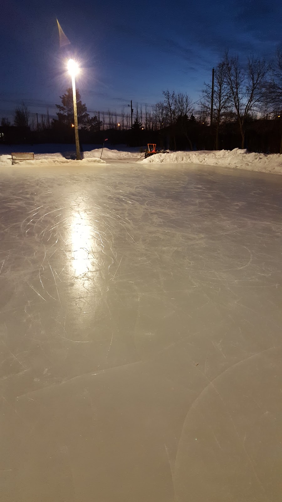 Lions Park | 900 Gilmour St, Morden, MB R6M 1K3, Canada | Phone: (204) 822-5431