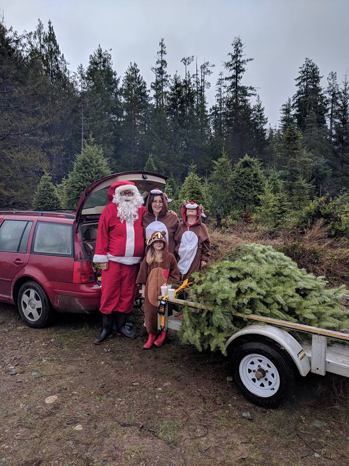 Whiskey Creek Christmas Tree Farm | Melrose Rd, Qualicum Beach, BC V9K 2M9, Canada | Phone: (250) 661-9528