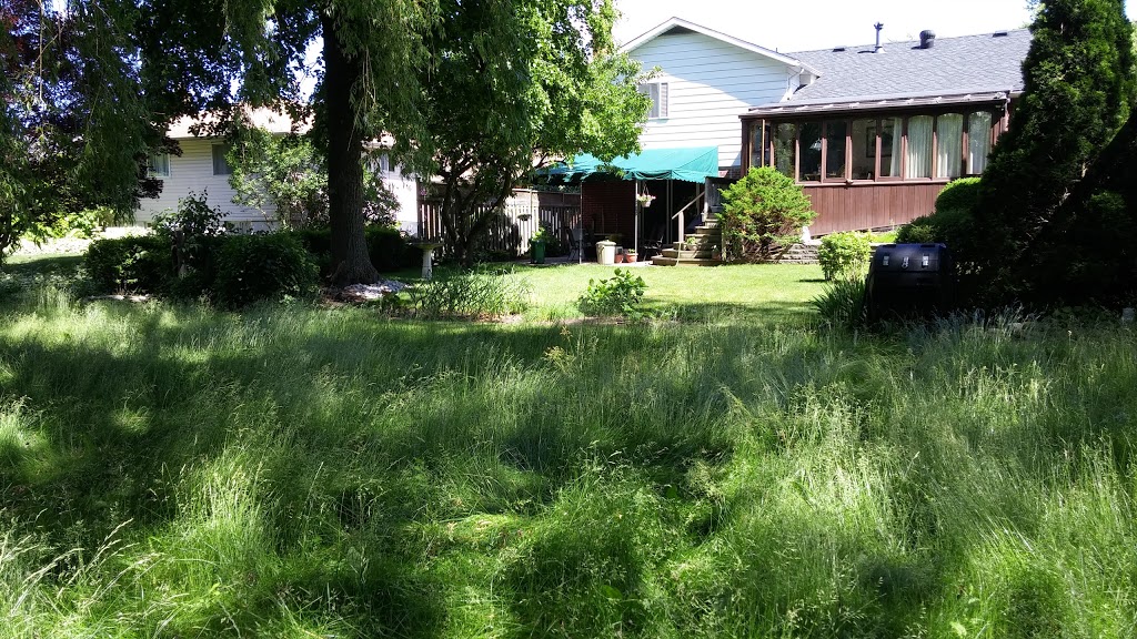 Thornlodge Park | 2405 Homelands Dr, Mississauga, ON L5K 1H3, Canada | Phone: (905) 615-4311