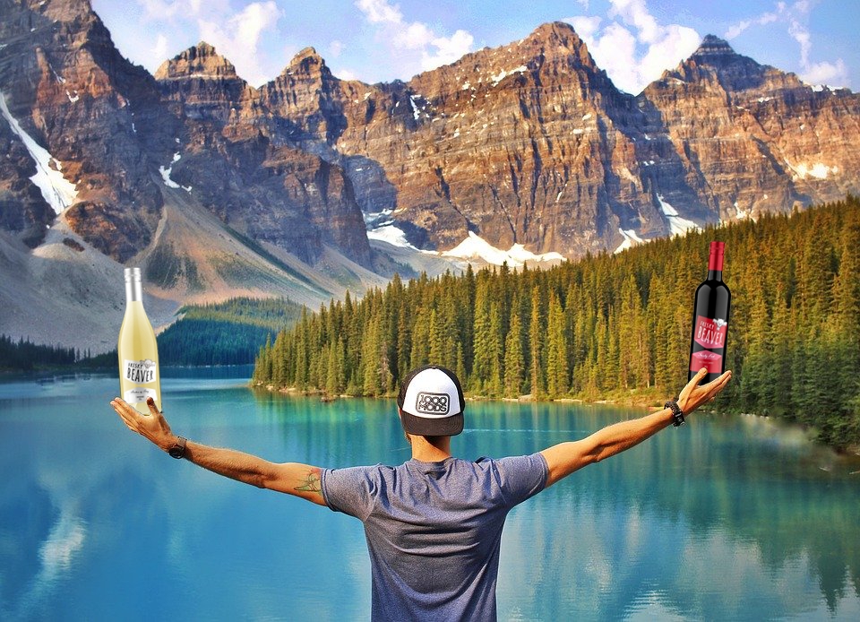 Frisky Beaver Wines | 455 Radical Rd, Simcoe, ON N3Y 4K2, Canada | Phone: (519) 900-3034