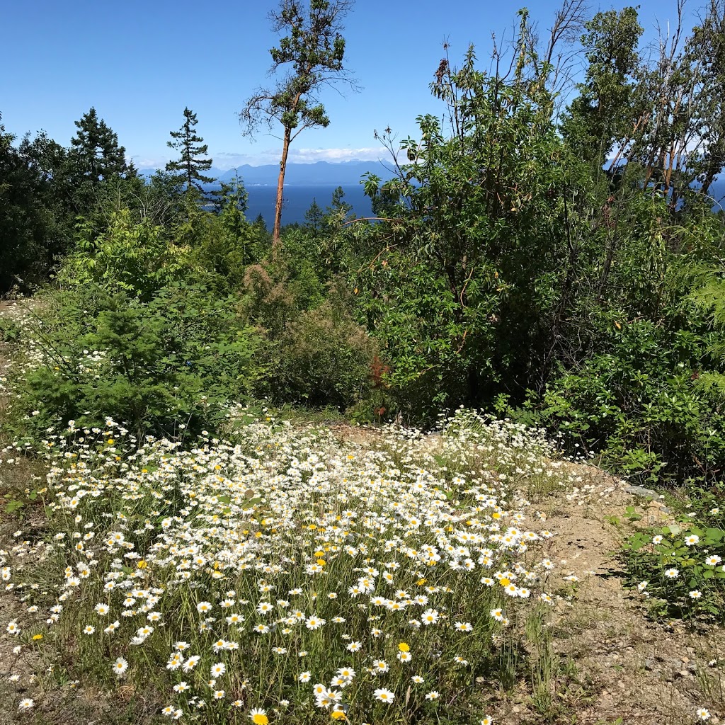 The Foothills | 6633 Harwood Dr, Lantzville, BC V0R 2H0, Canada | Phone: (778) 862-9092