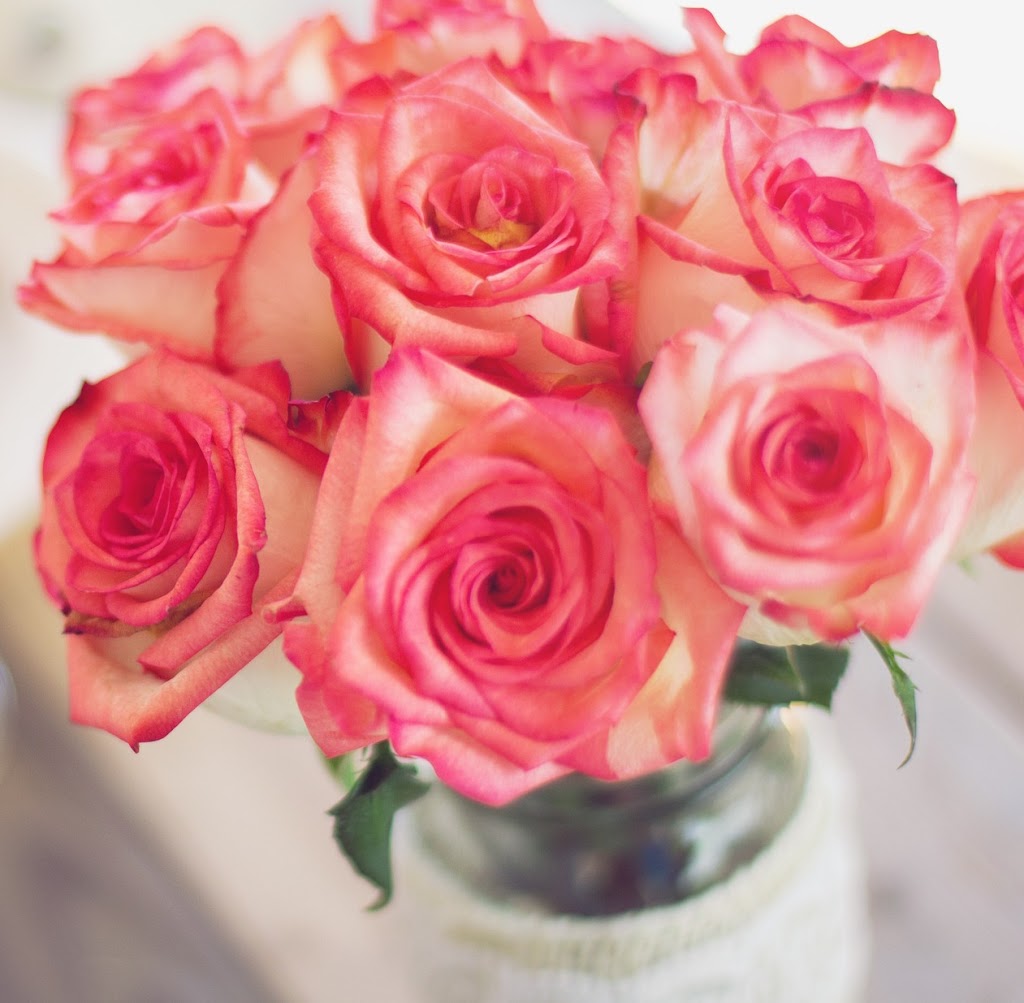 Mostly Roses & Natures Rose Inc. | 6923 Steeles Ave W #58, Etobicoke, ON M9W 6T6, Canada | Phone: (416) 365-7673