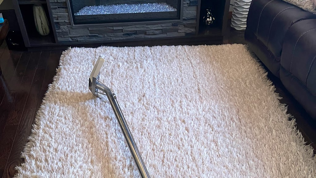 Carpet Plus Cleaning | 2229 Casey Cres SW, Edmonton, AB T6W 3M6, Canada | Phone: (780) 807-0908