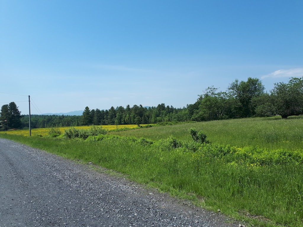 La Bouffée dAir - location vélo électrique et kayak | 362 Rte de Mansonville, Mansonville, QC J0E 1X0, Canada | Phone: (819) 919-3719
