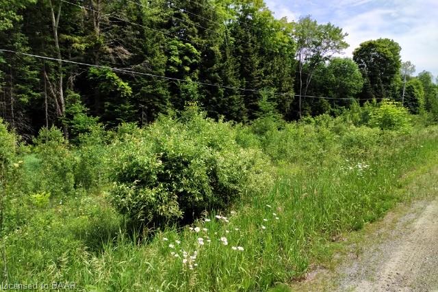 Laura Graham, Realtor REVA Realty Inc. | 8 Flint Ave, Bancroft, ON K0L 1C0, Canada | Phone: (613) 332-8891