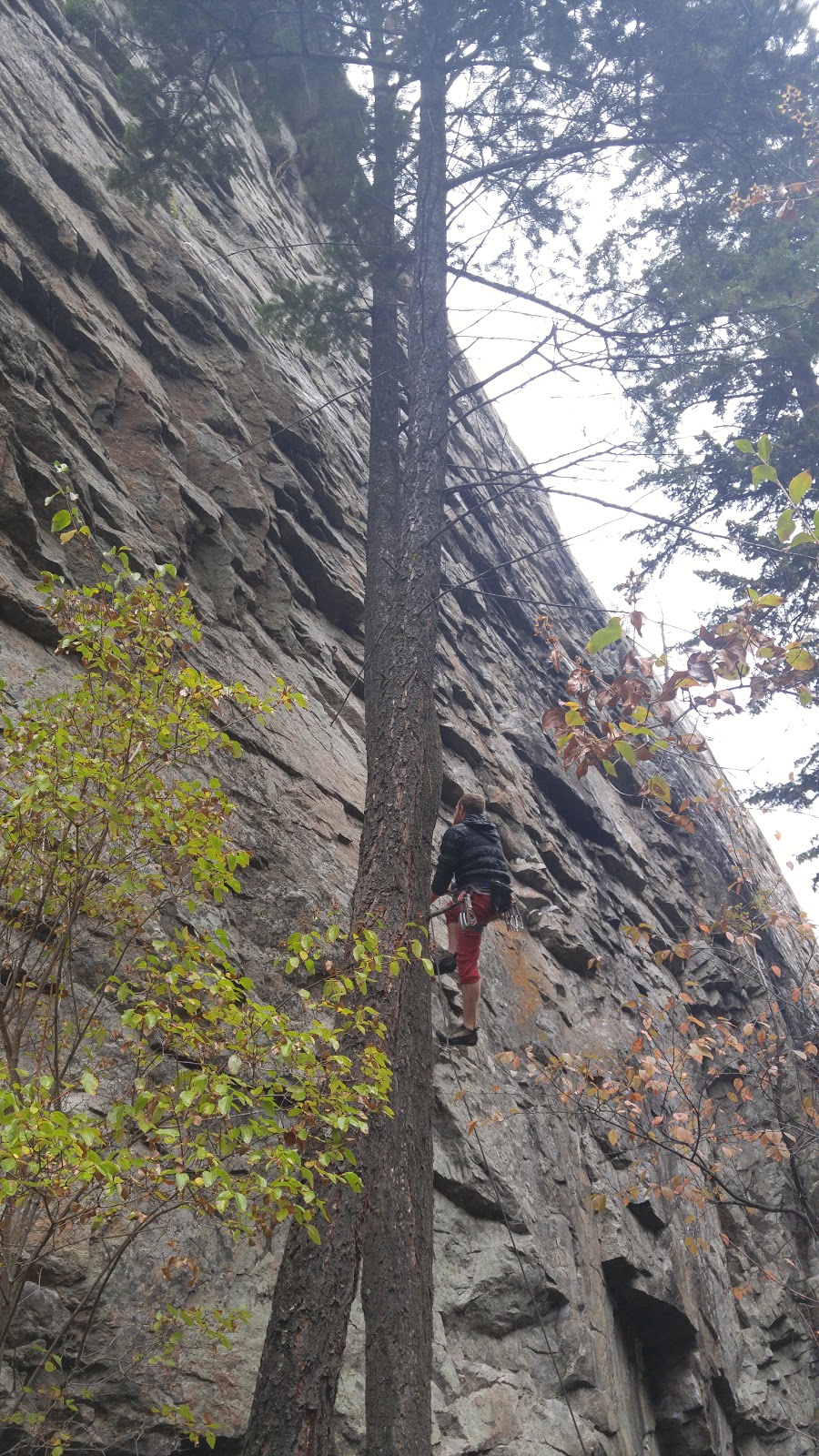 Skaha Bluffs Provincial Park | Smythe Dr, Penticton, BC V2A 8W6, Canada