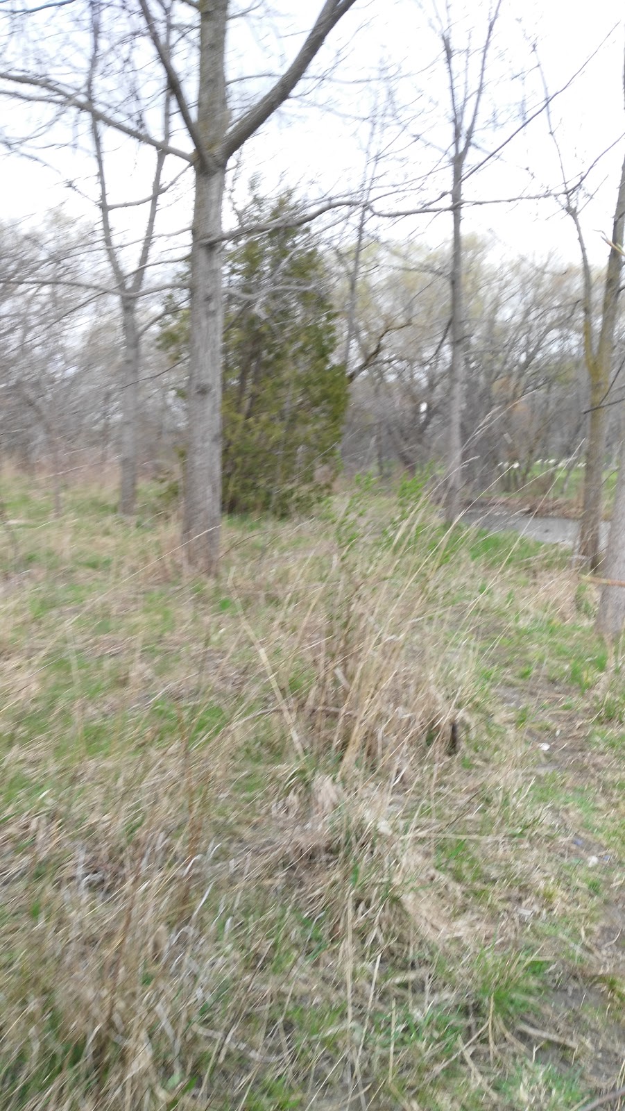 Fleetwood Park | Mississauga, ON L4X 2S8, Canada