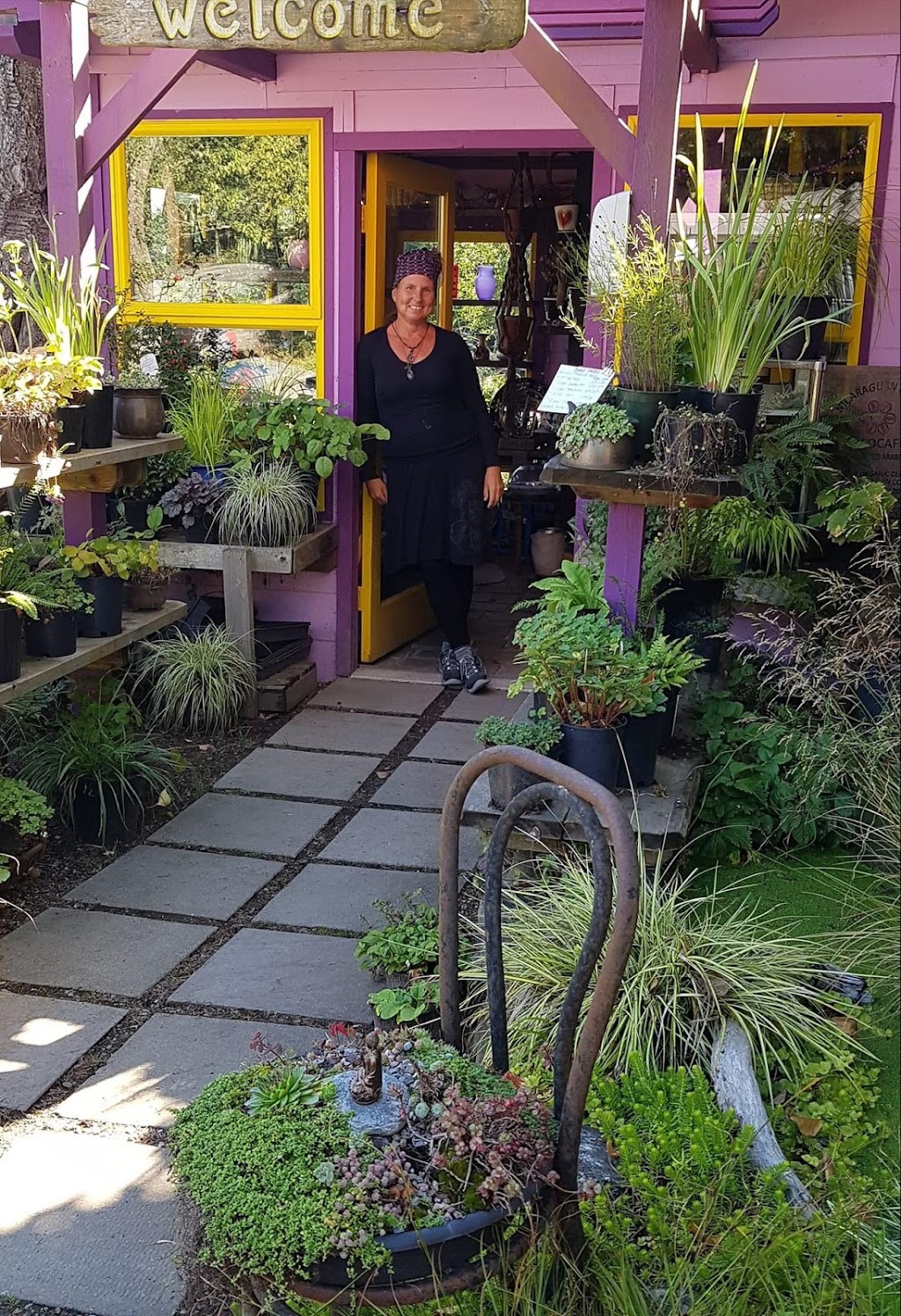 Garden Faire Gallery Nursery & Campground | 305 Rainbow Rd, Salt Spring Island, BC V8K 2M3, Canada | Phone: (250) 537-4346