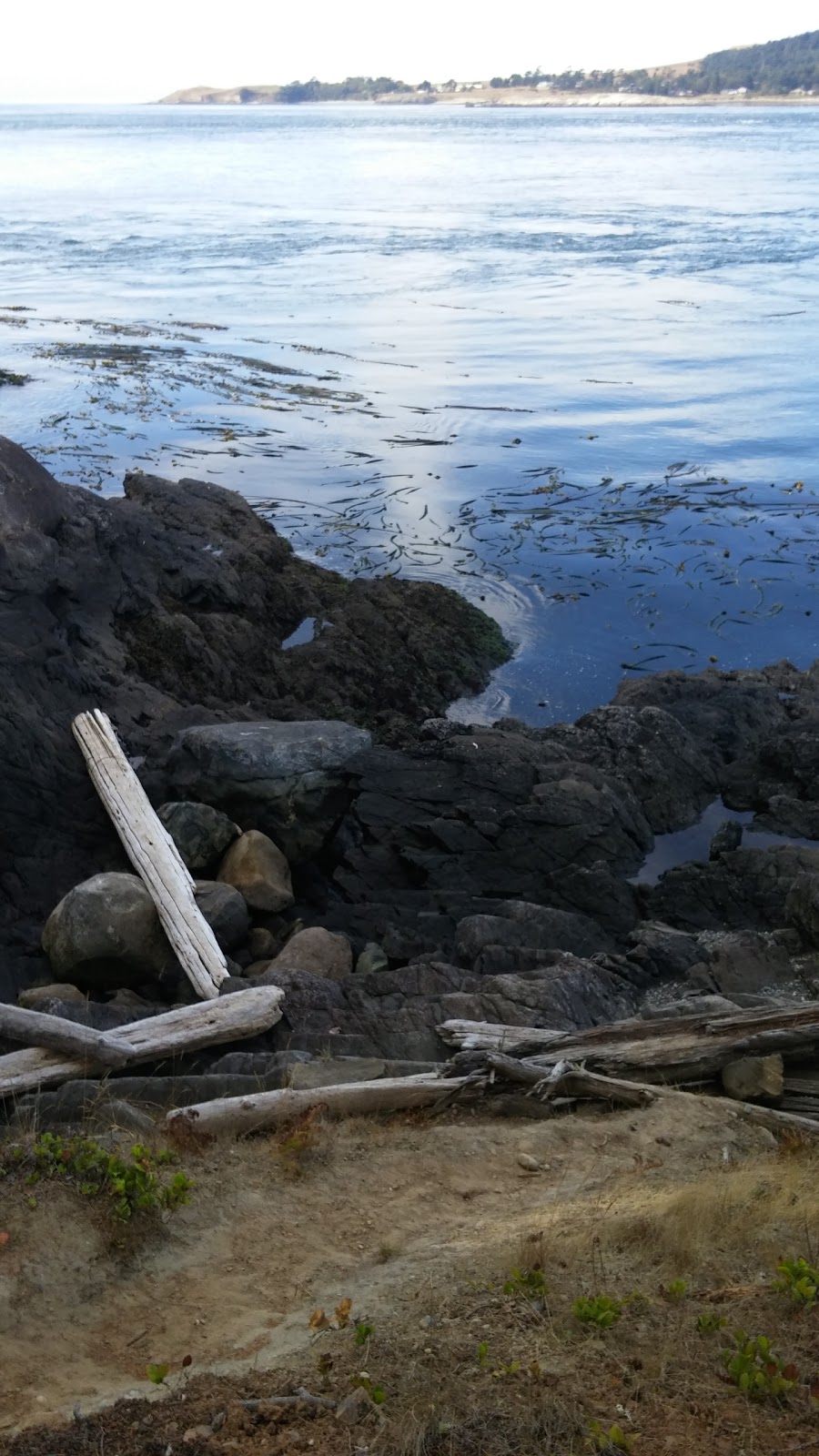 Shark Reef Sanctuary | Shark Reef Rd, Lopez Island, WA 98261, USA