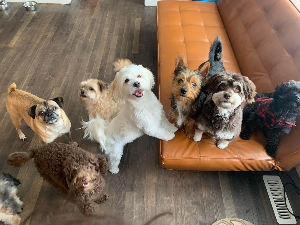 The Second Pup | 7030 2 Ave SW, Edmonton, AB T6X 1A3, Canada | Phone: (780) 708-5486