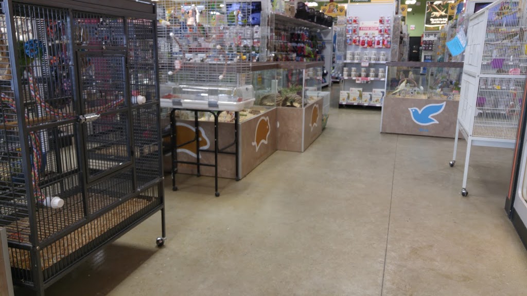 Petland | 6004 Currents Dr NW #6268, Edmonton, AB T6W 0L8, Canada | Phone: (587) 521-8210