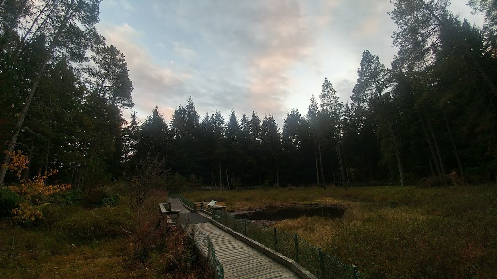 Camosun Bog | Imperial Dr, Vancouver, BC V6S, Canada