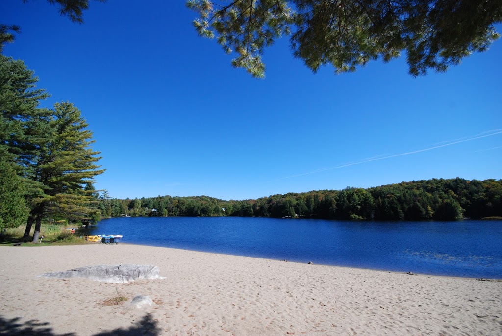 CHALETS DES PINS | 5749 Chemin Vincent-Massey, Rawdon, QC J0K 1S0, Canada | Phone: (450) 834-3401