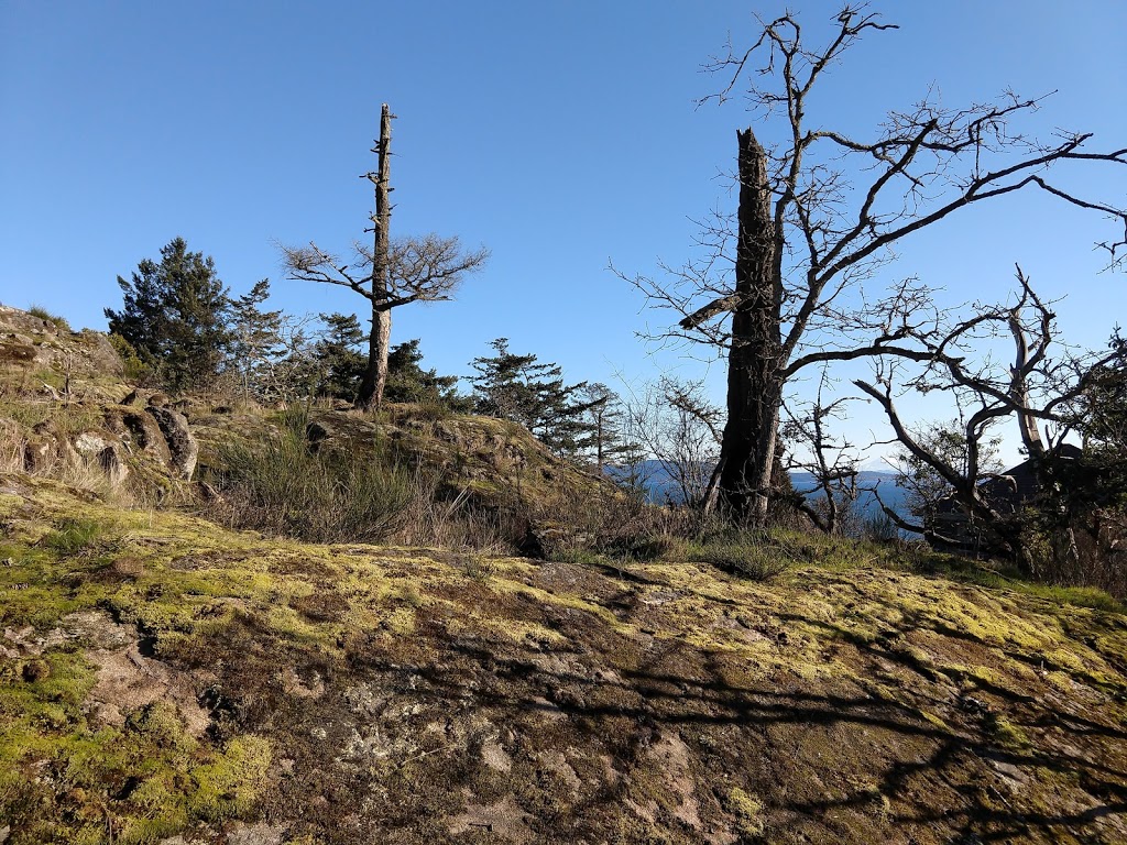 Wedgepoint Park | Wedgepoint Terrace, Victoria, BC V8N 5W8, Canada