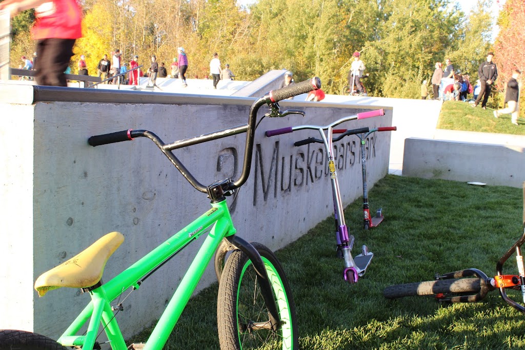 3 Musketears Skatepark | 415 Queen St, Acton, ON L7J 2L8, Canada | Phone: (905) 873-2600