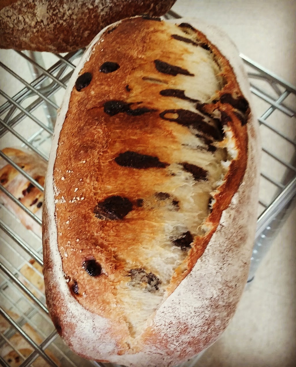 Jeff Le boulanger | 4 Rue Charles-Rodrigue, Lévis, QC G6V 6L8, Canada | Phone: (418) 838-9393