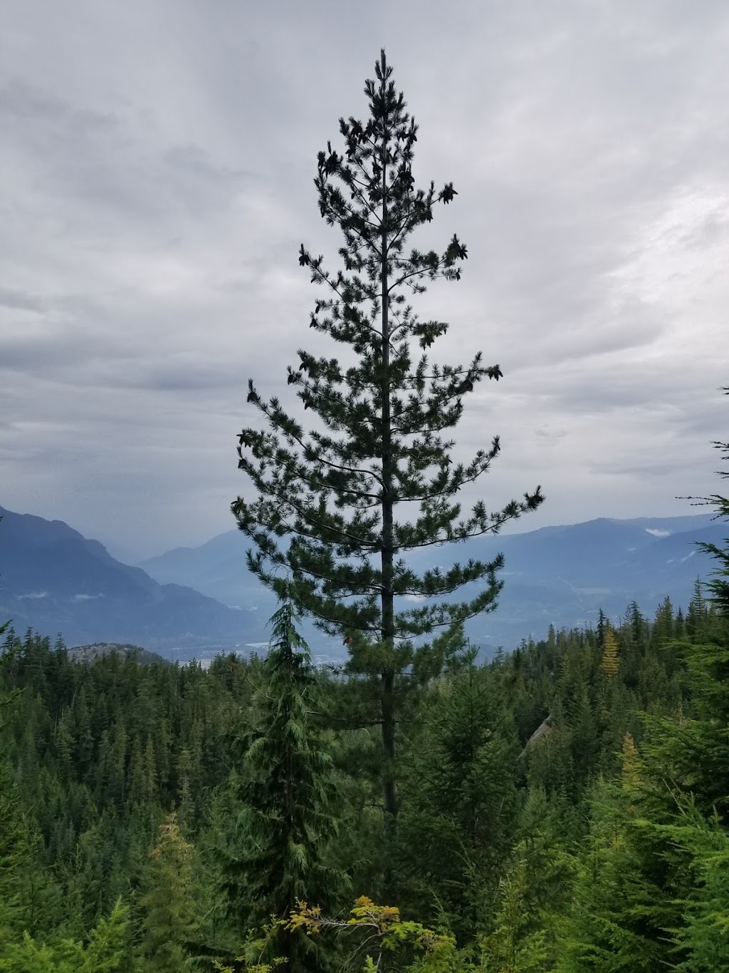 Panorama Trail | Unnamed Road, Britannia Beach, BC V0N 1J0, Canada | Phone: (604) 892-2550