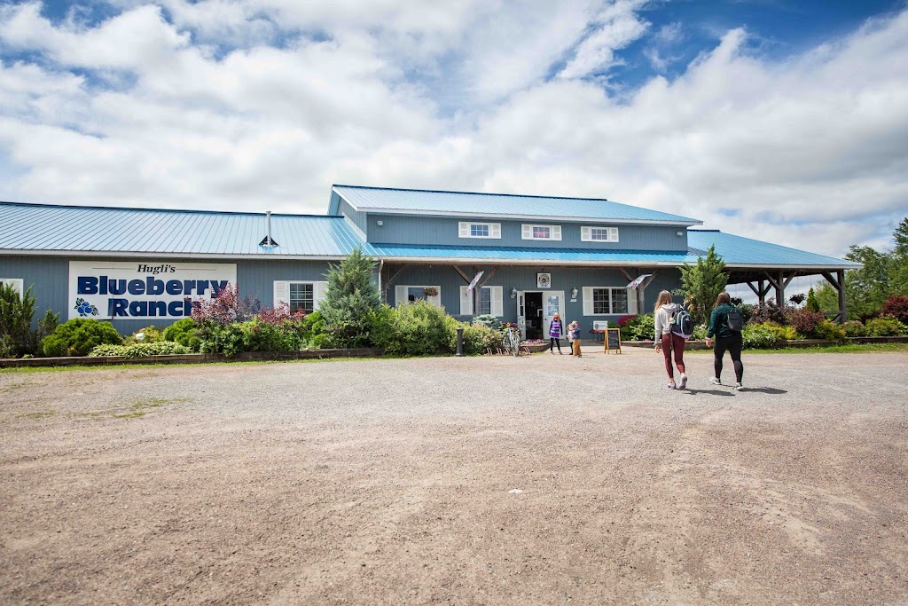 Huglis Blueberry Ranch, Country Market & Play Park | 2139 Greenwood Rd, Pembroke, ON K8A 6W2, Canada | Phone: (613) 638-1288