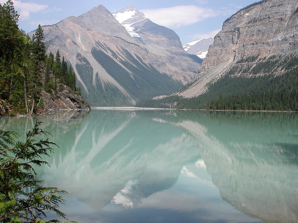 Timberwolf Tours Ltd. | site 34, 51404 Range Road 264, Spruce Grove, AB T7Y 1E4, Canada | Phone: (780) 470-4966