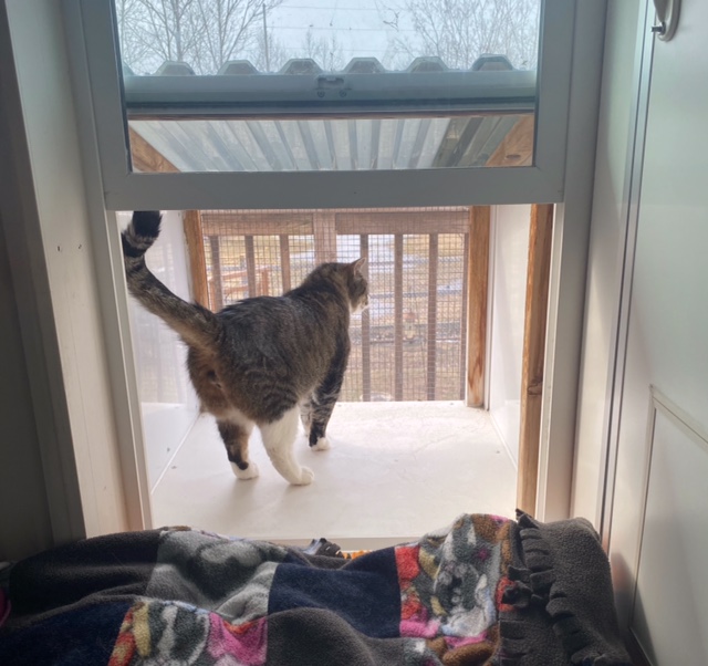 Cats Cradle Boarding Kennel 2006 | 54003 LaSalle Rd #9E, Winnipeg, MB R3H 0Y6, Canada | Phone: (204) 897-6945