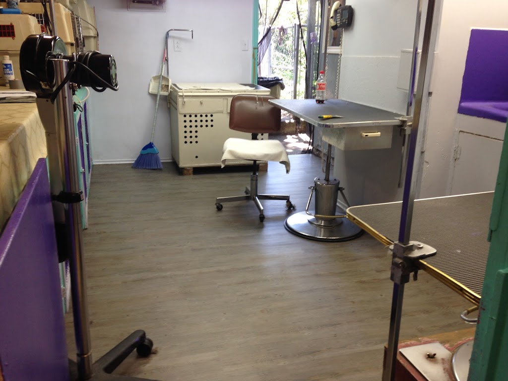 Coiffured Canines | 1005 Linda Ln, Victoria, BC V9B 2S7, Canada | Phone: (250) 474-4211