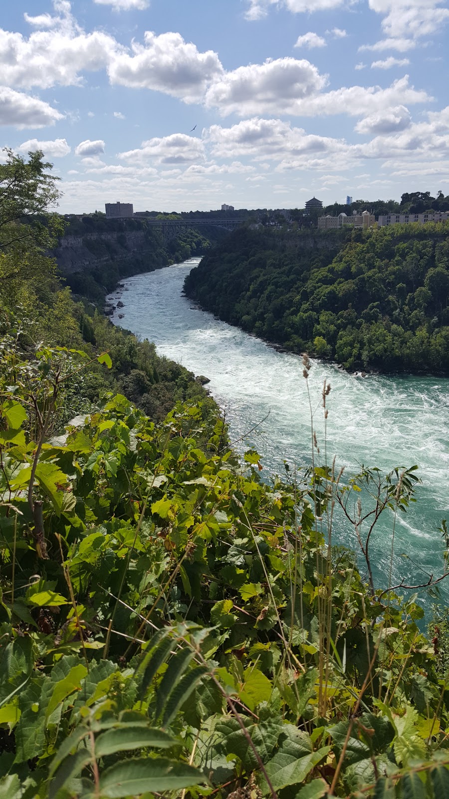 Whirlpool State Park | Niagara Scenic Pkwy, Niagara Falls, NY 14303, USA | Phone: (716) 284-5778