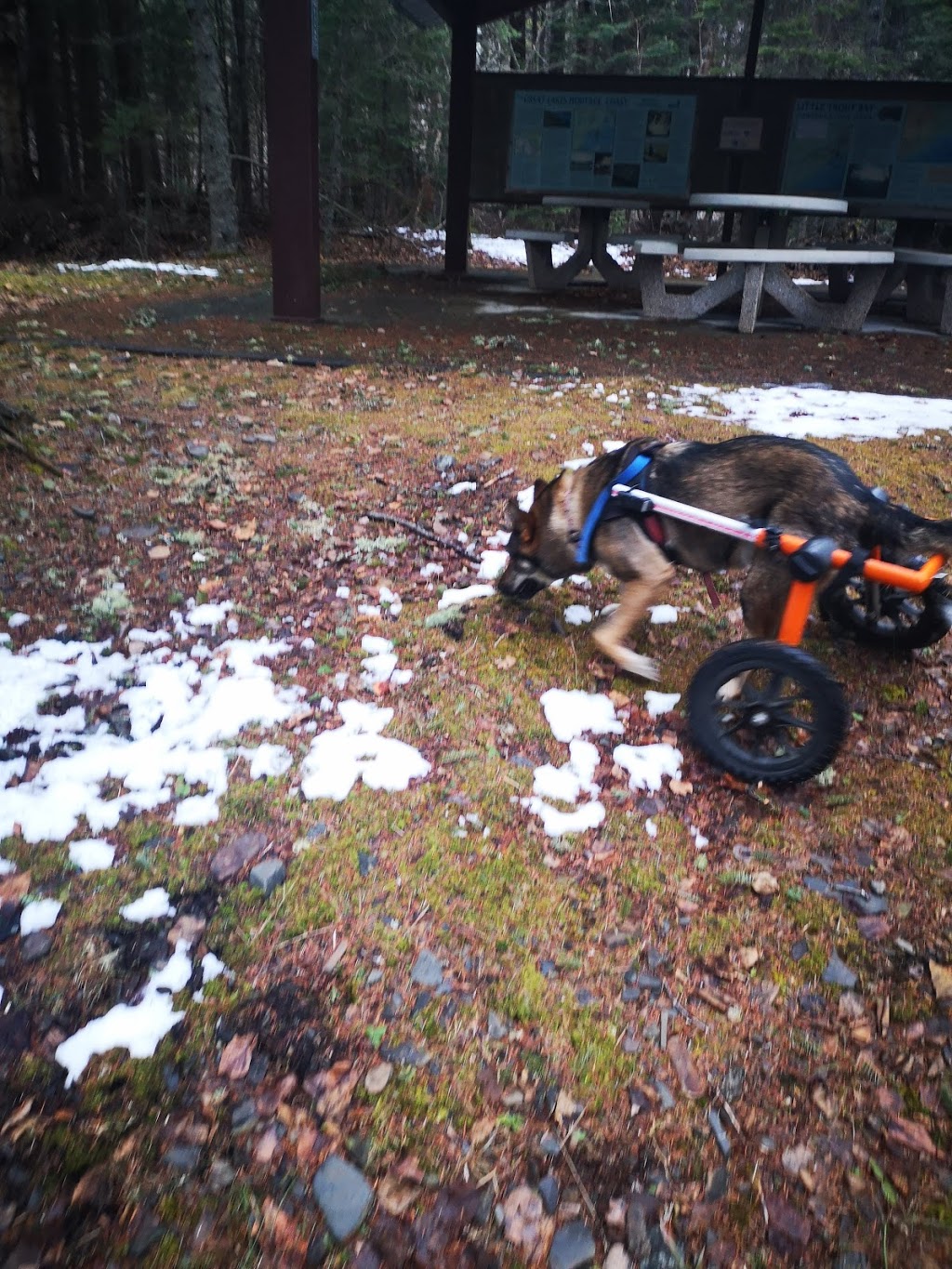 Little Trout Bay Conservation Area | Neebing, ON P7L 0A4, Canada | Phone: (807) 344-5857
