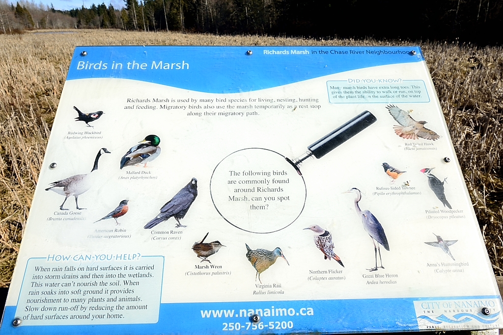 Richards Marsh Park | 1921 Kells Bay, Nanaimo, BC V9X 1H1, Canada | Phone: (250) 756-5200