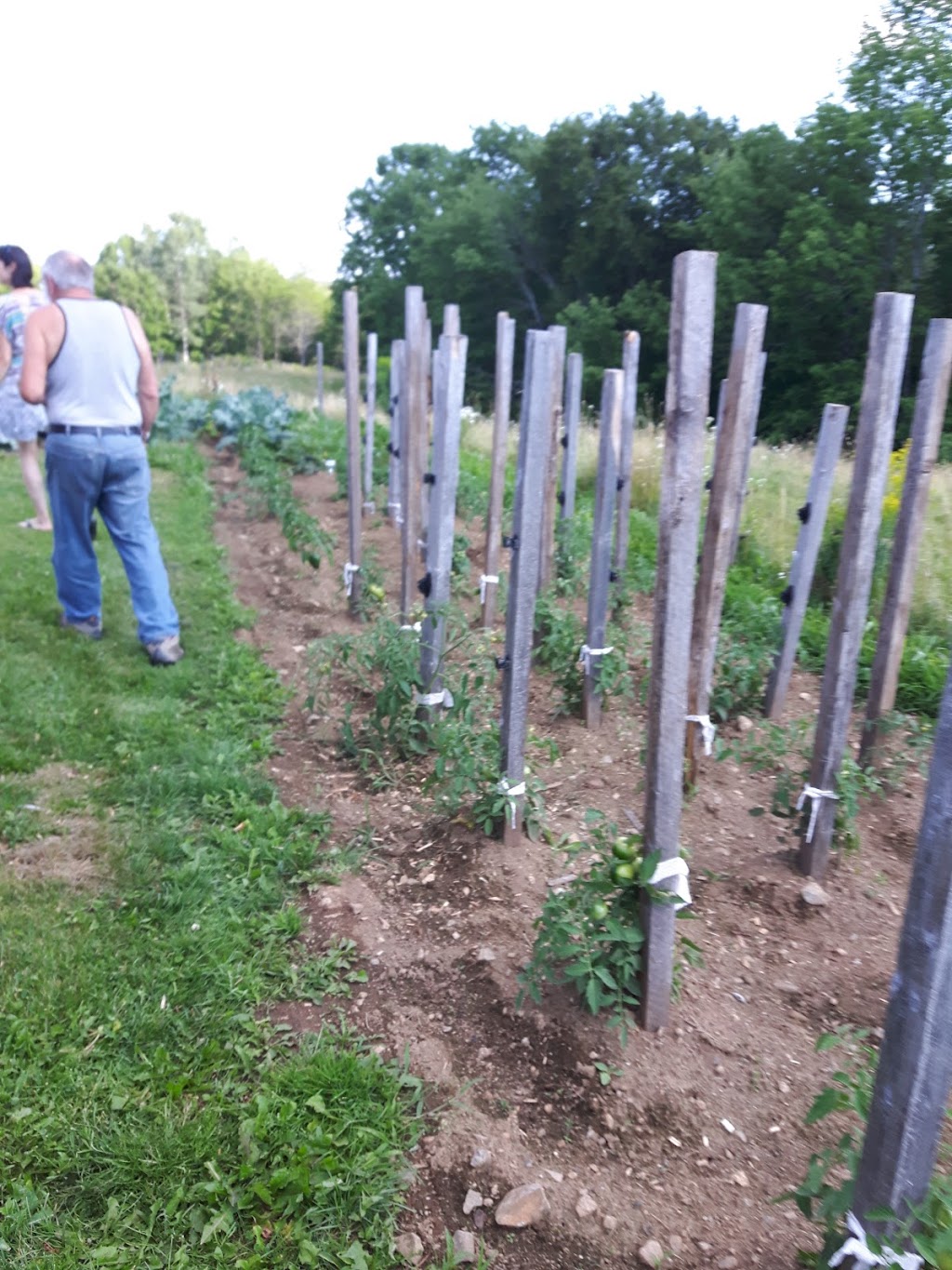 Millbrook Farms | 487 New Ross Rd, Windsor, NS B0N 2T0, Canada | Phone: (801) 631-2516
