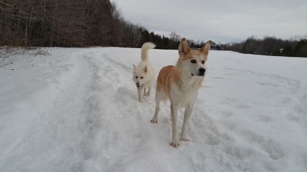 Andy Shields Park | 1455 Old Prescott Rd, Greely, ON K4P 1A7, Canada | Phone: (613) 580-2400