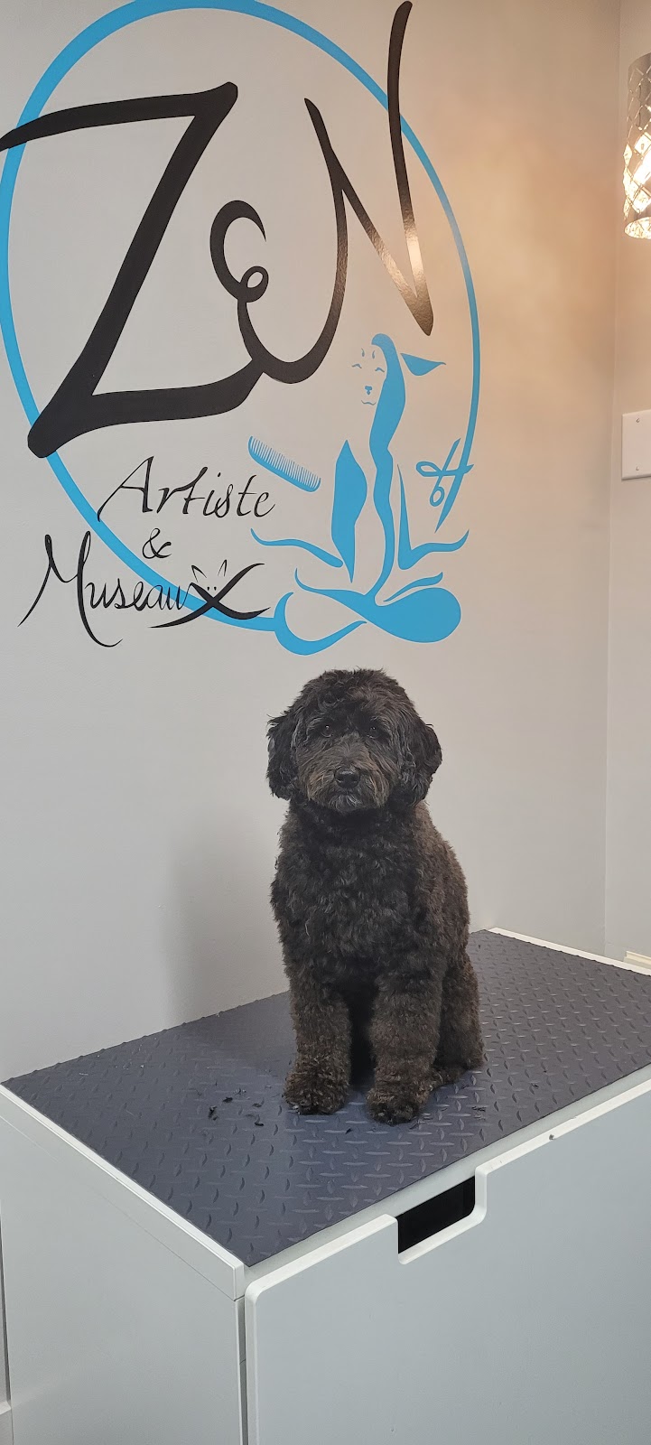 Zen Artiste et Museaux - Toilettage comportemental | Rue Thibault, Laval, QC H7K 3R5, Canada | Phone: (438) 882-0936
