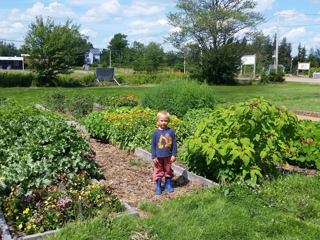 Cochrane Family Farm | 5324 NS-289, Upper Stewiacke, NS B0N 2P0, Canada | Phone: (902) 671-2378