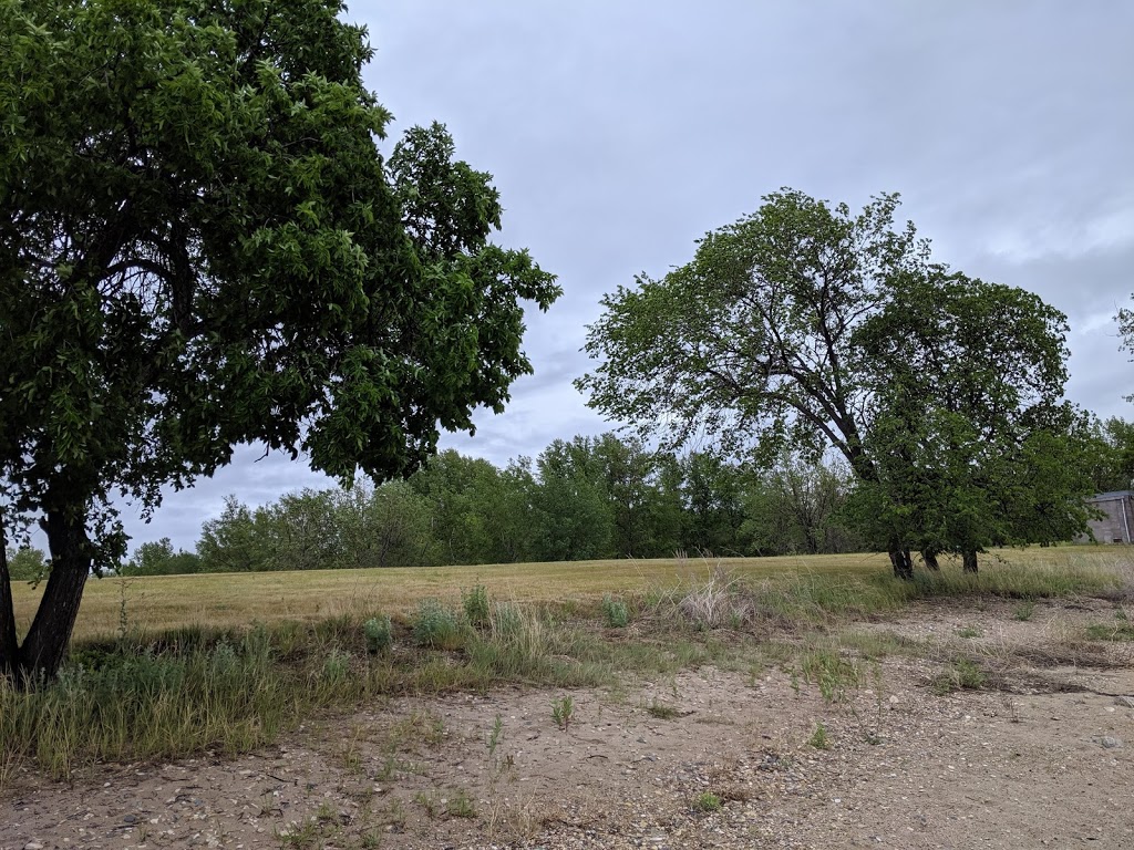 Underwood Campground | Unnamed Road, 1C0, Dilke, SK S0G 1C0, Canada | Phone: (306) 725-5200