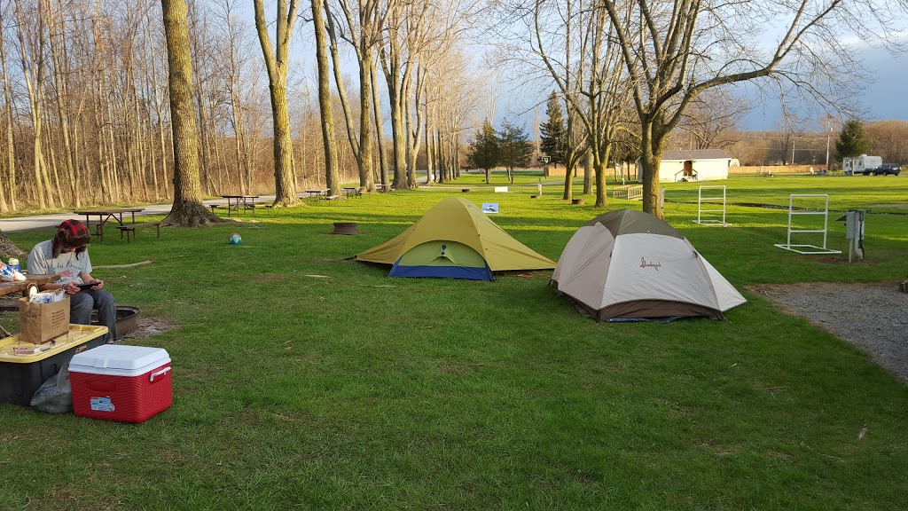 Willows Campground | 11609 NY-3 # 1, Adams, NY 13605, USA | Phone: (315) 938-5977