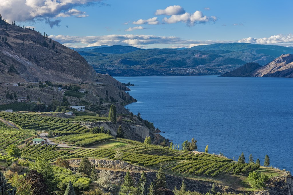 Brown Benefits | 206 - 2565 Main St, West Kelowna, BC V4T 2B4, Canada | Phone: (778) 754-7437