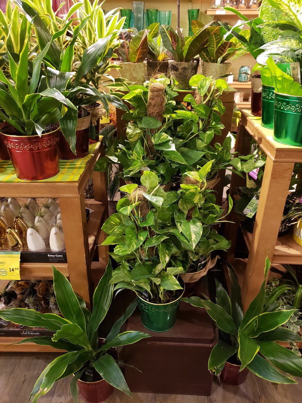 Safeway Castleridge | 55 Castleridge Blvd NE, Calgary, AB T3J 3J8, Canada | Phone: (403) 293-0255
