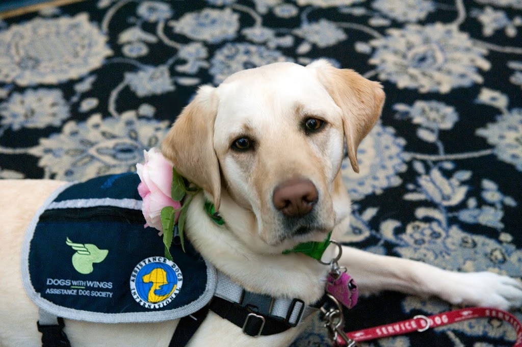 Sturgeon Victim Services | 10512 101 Ave, Morinville, AB T8R 1K9, Canada | Phone: (780) 939-1655