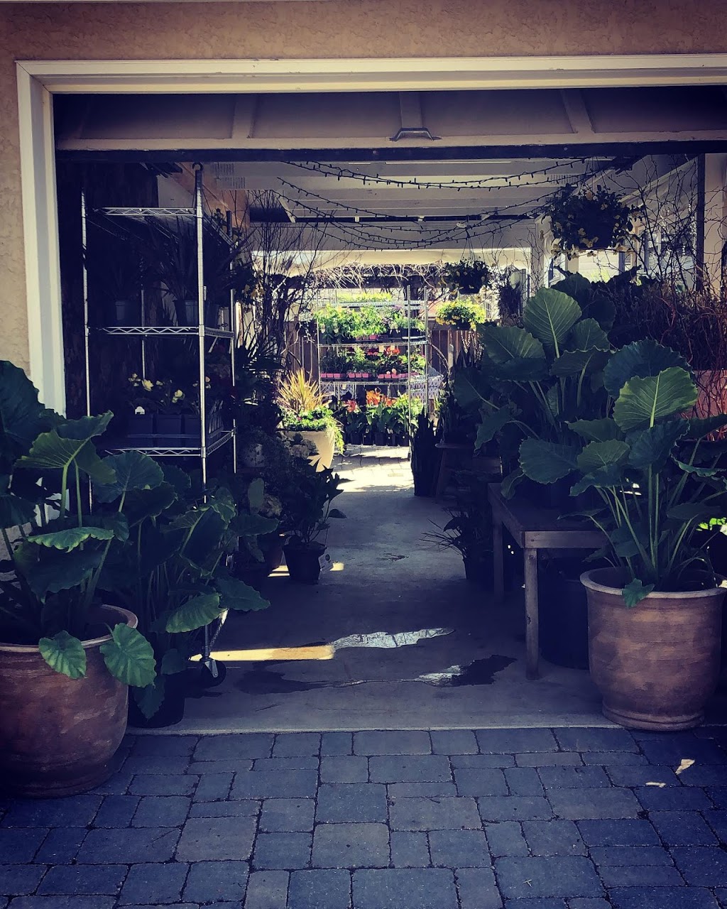 Front Door Stories | 208 Browning Blvd, Winnipeg, MB R3K 0L9, Canada | Phone: (204) 918-3286