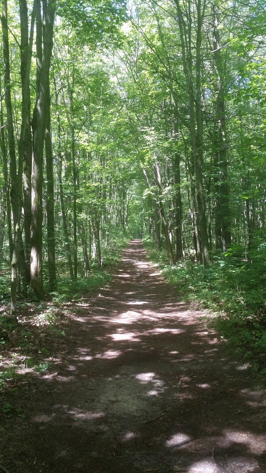 Hollidge Tract Accessible Trail | 16389 ON-48, Whitchurch-Stouffville, ON L4A 7X4, Canada