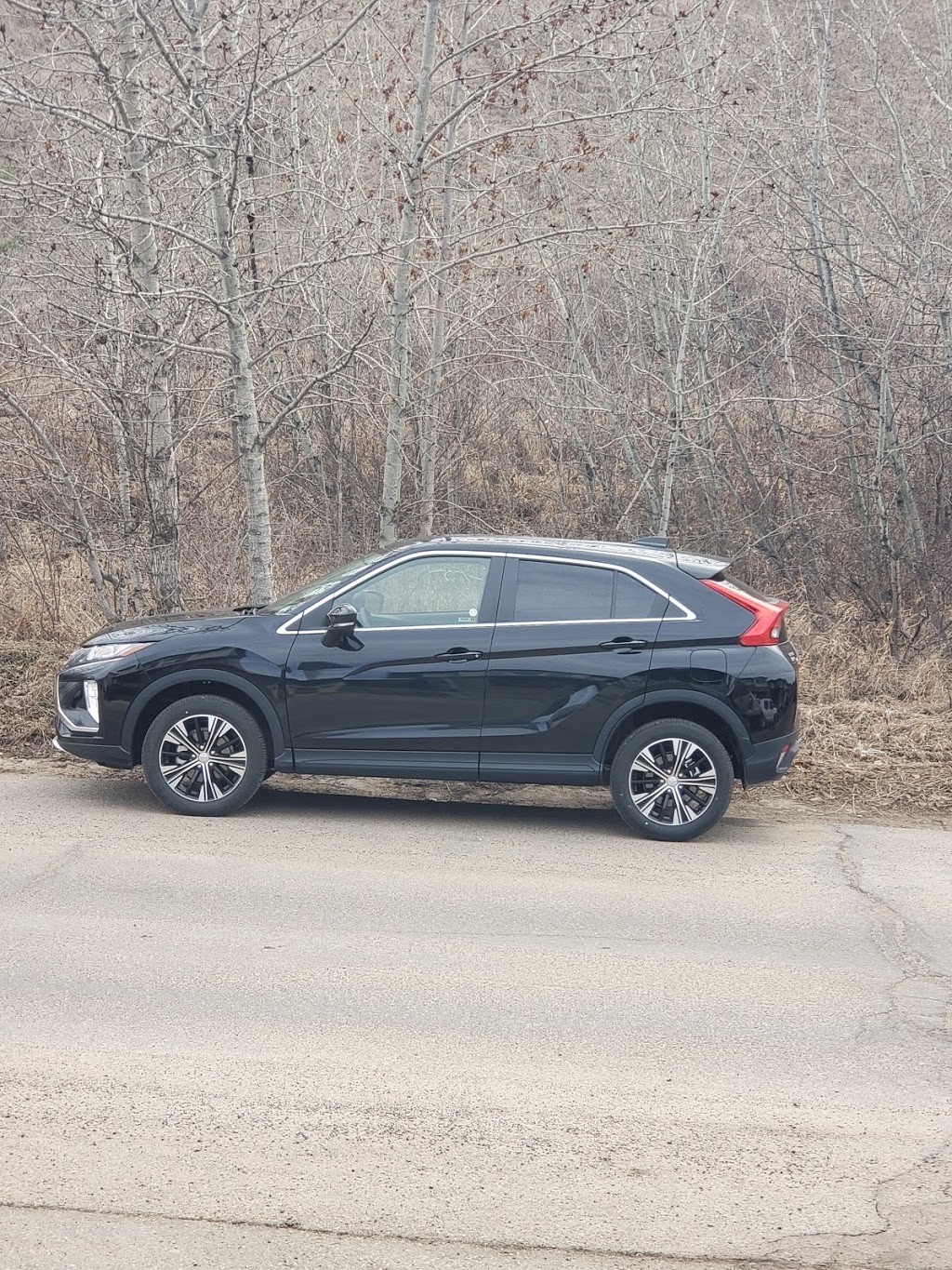 Avis Car Rental | 11106 151 St NW, Edmonton, AB T5M 1X2, Canada | Phone: (780) 408-2847