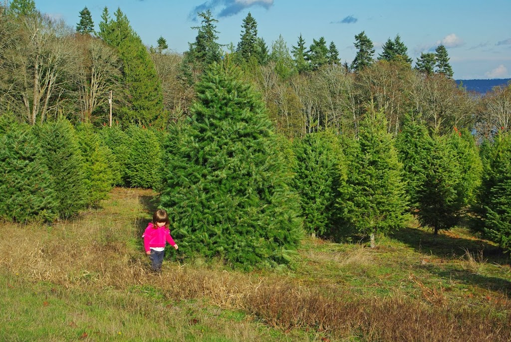 Wintergreen Christmas Tree Farm | 625 Kilmalu Rd, Mill Bay, BC V0R 2P2, Canada | Phone: (250) 743-2514
