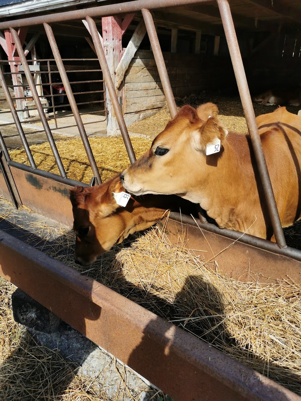 Hagerman Farms | 13644 Loyalist Pkwy, Picton, ON K0K 2T0, Canada | Phone: (613) 476-5362