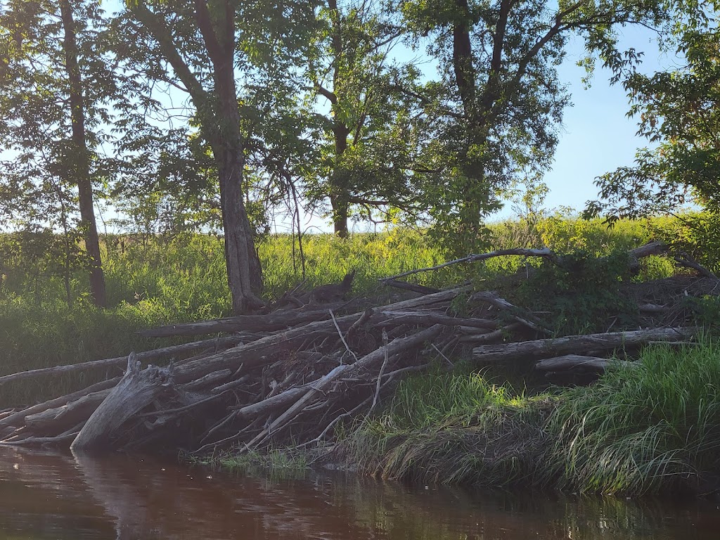 Bigfoot Paddleboarding & Rafting | 66034 Provincial Trunk Hwy 44, Whitemouth, MB R0E 2G0, Canada | Phone: (204) 481-4440