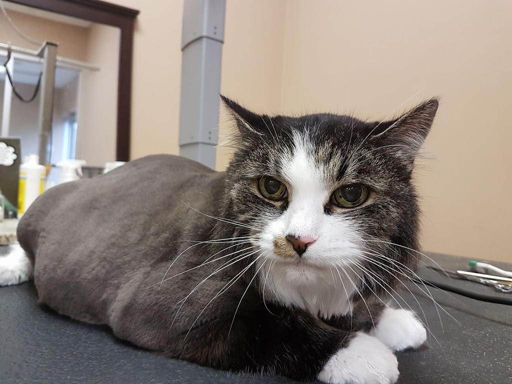 Groomingdales Fonthill | 20 Hwy 20 E, Fonthill, ON L0S 1E0, Canada | Phone: (905) 892-5483