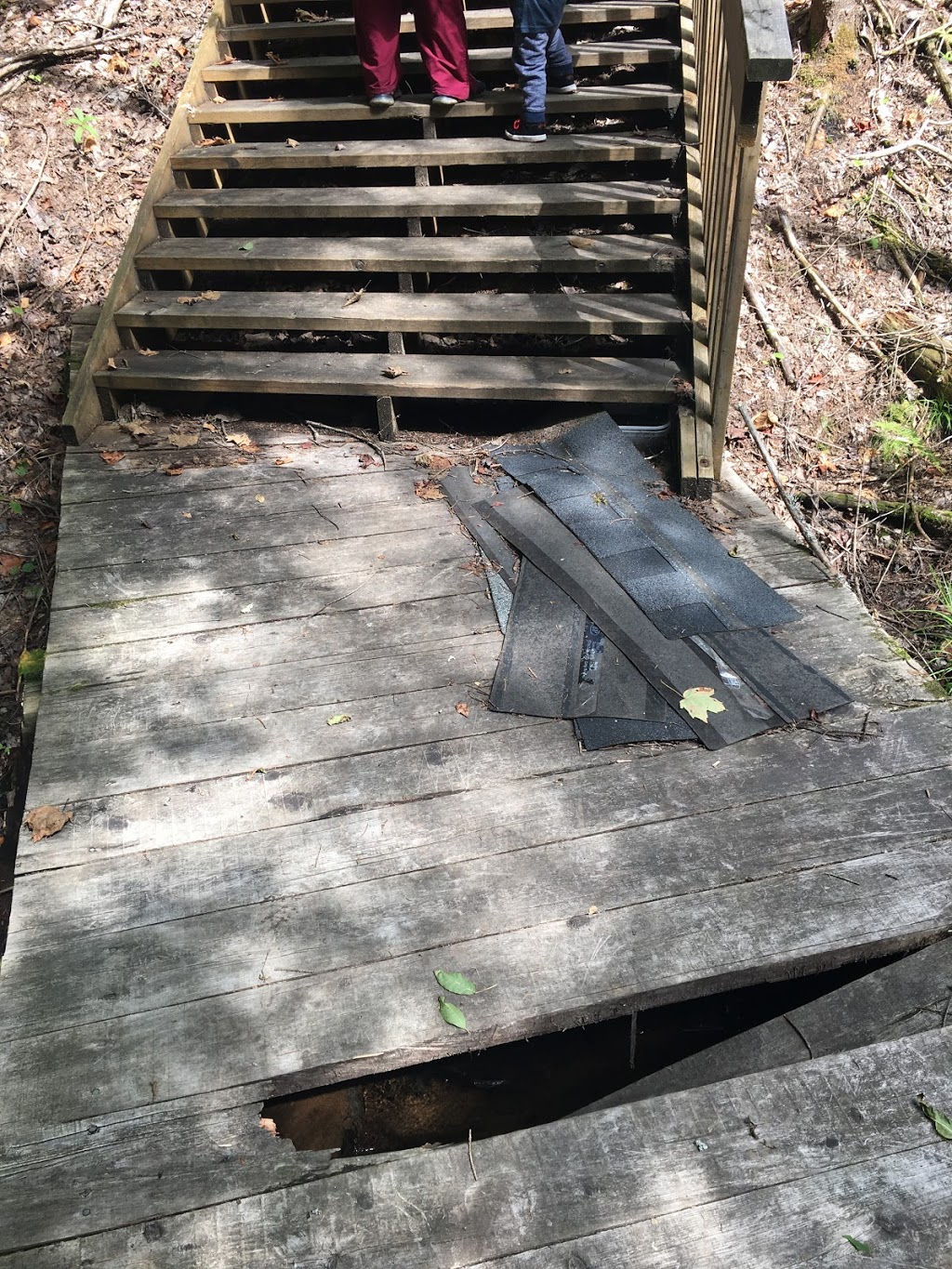 Echo Valley Nature & Bike Trails | Echo Hills Rd, Dwight, ON P0A 1H0, Canada | Phone: (877) 566-0005