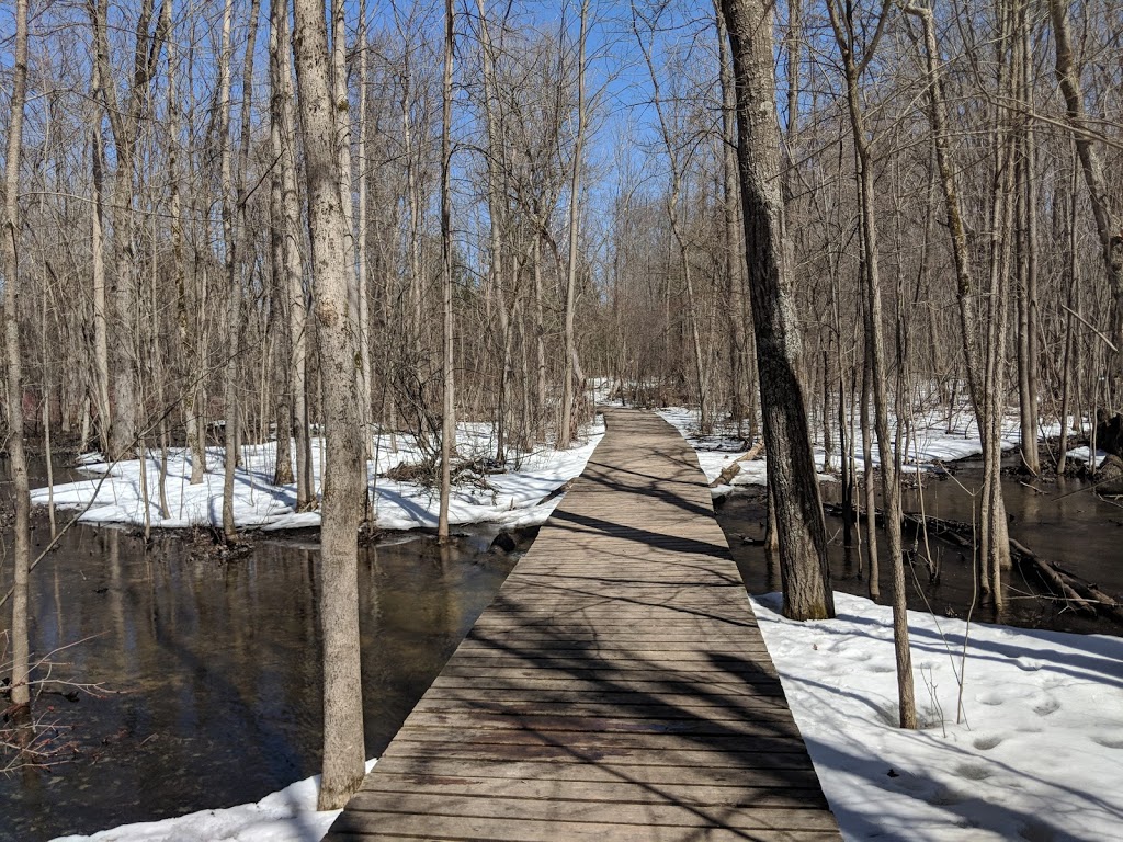Trent University Nature Areas | 801 University Rd, Peterborough, ON K9J 6Y1, Canada | Phone: (705) 748-1011