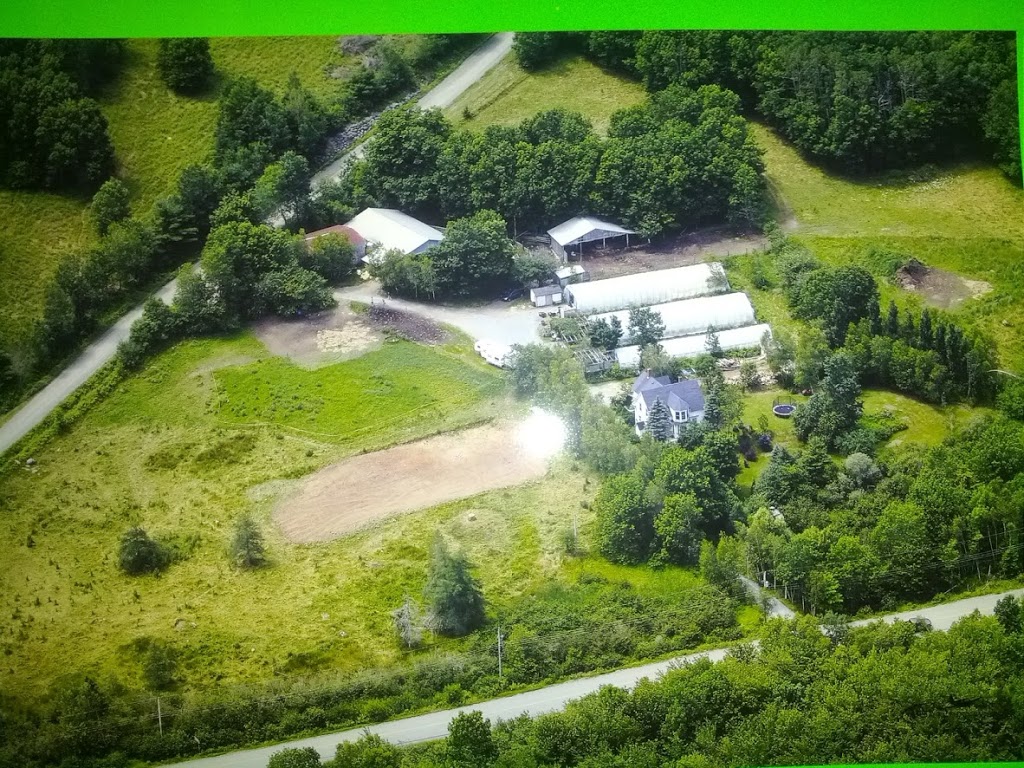 EIEIO Farm and Greenhouses | 503 Cornwall Rd, Blockhouse, NS B0J 1E0, Canada | Phone: (902) 624-9636