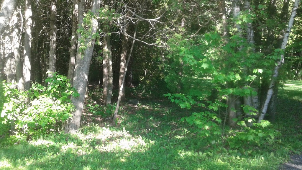 Parc Optimiste | 630 Route du Petit Cap, Cap-Saint-Ignace, QC G0R 1H0, Canada | Phone: (418) 246-5390