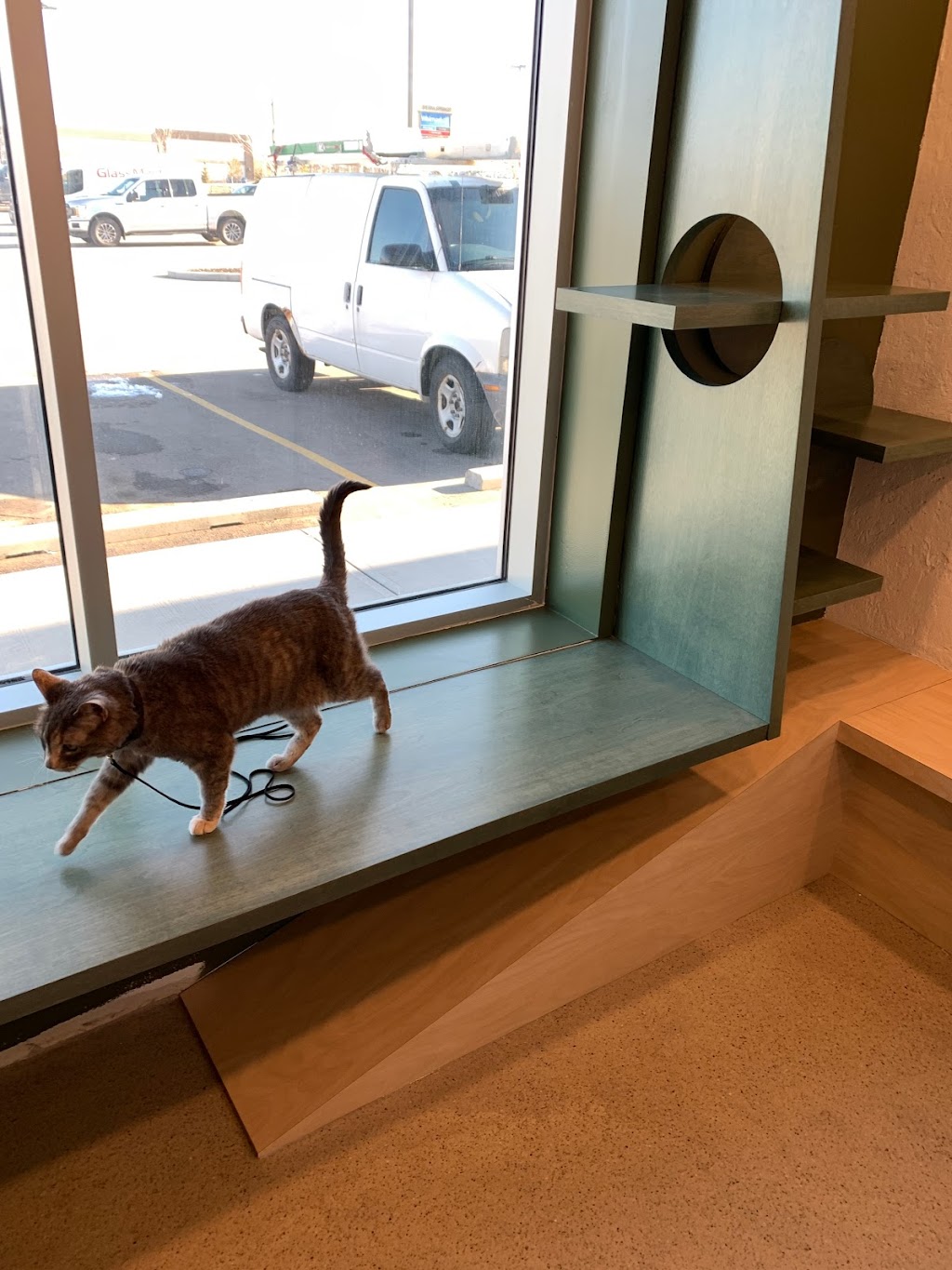 Fen Vet | 2880 Main St SE #1001, Airdrie, AB T4B 3G4, Canada | Phone: (587) 602-4442